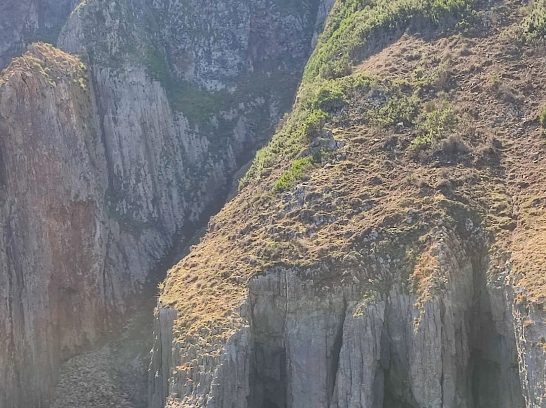 Il Fauno - Motobarca-Ponza Island必去景点