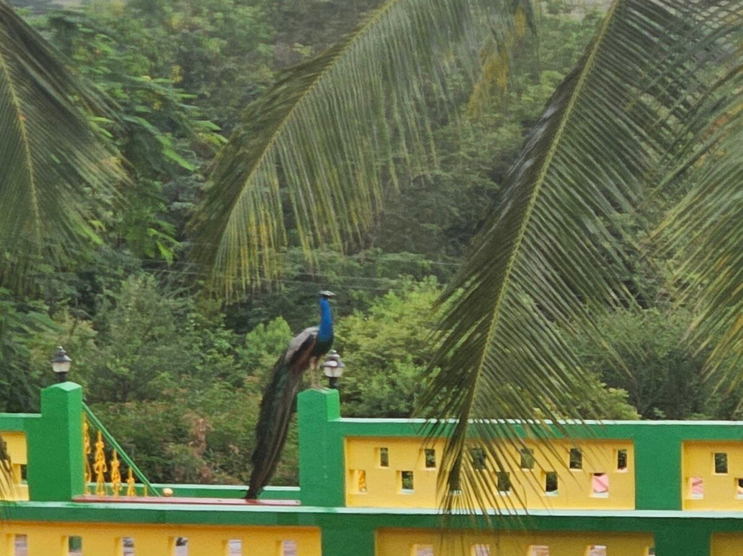 Cardamom House主图