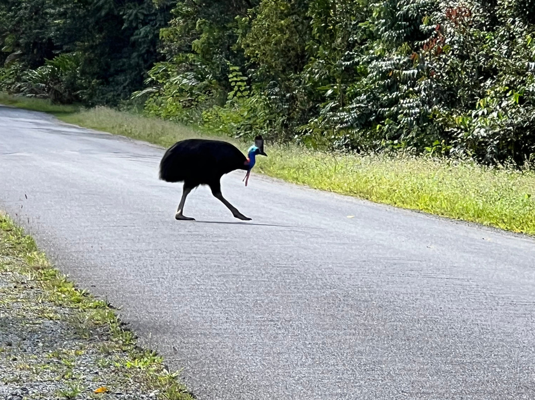 Tony's Tropical Tours-道格拉斯港必去景点