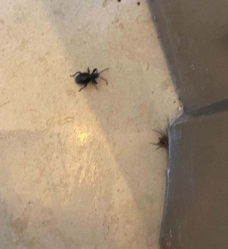 海湾套房酒店主图