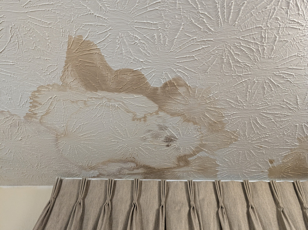 Red Roof Inn Dandridge主图