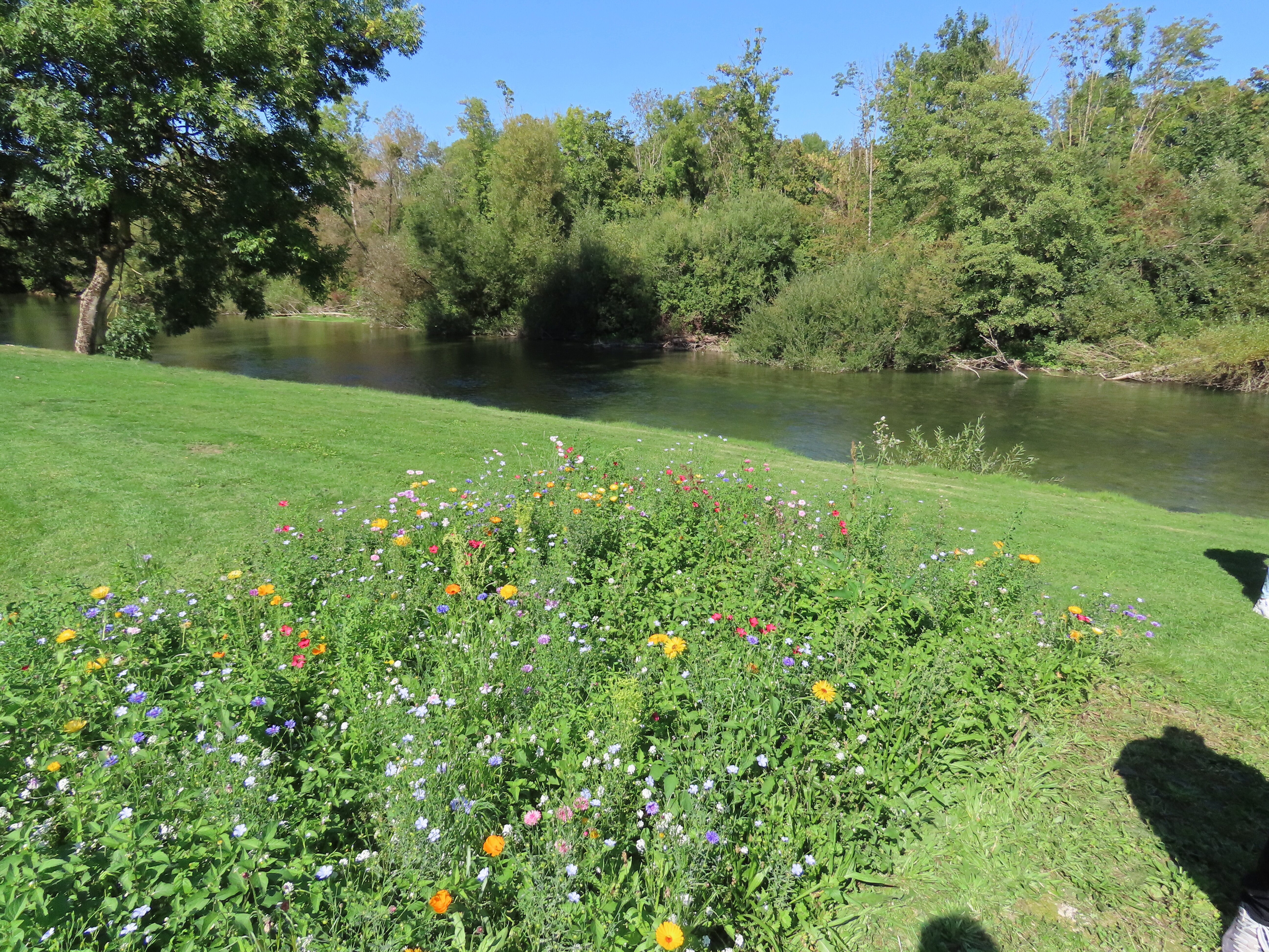 Logis Hôtel Domaine de MonteCristo-官方