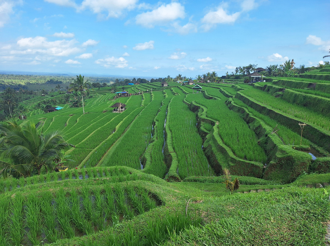 Kirani Bali Tour-罗威那海滩必去景点