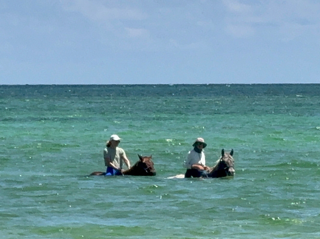 Cayman Horse Riding-西湾必去景点