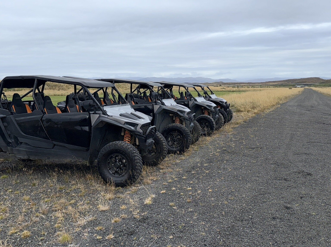 Buggy Iceland-雷克雅未克必去景点