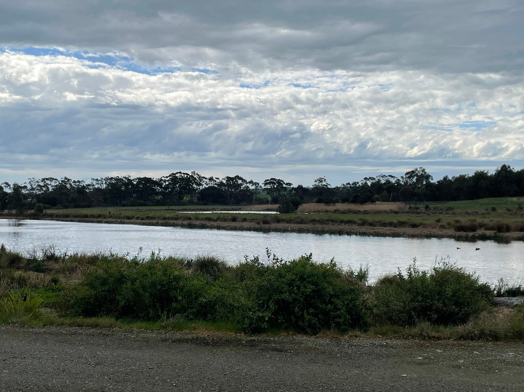 Meeniyan Bird Hide-Meeniyan必去景点