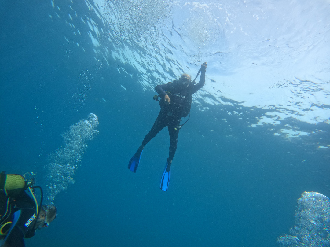 Active Blue Diving Center-库萨达斯必去景点