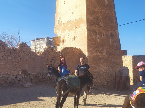 Village Donkey-索维拉必去景点