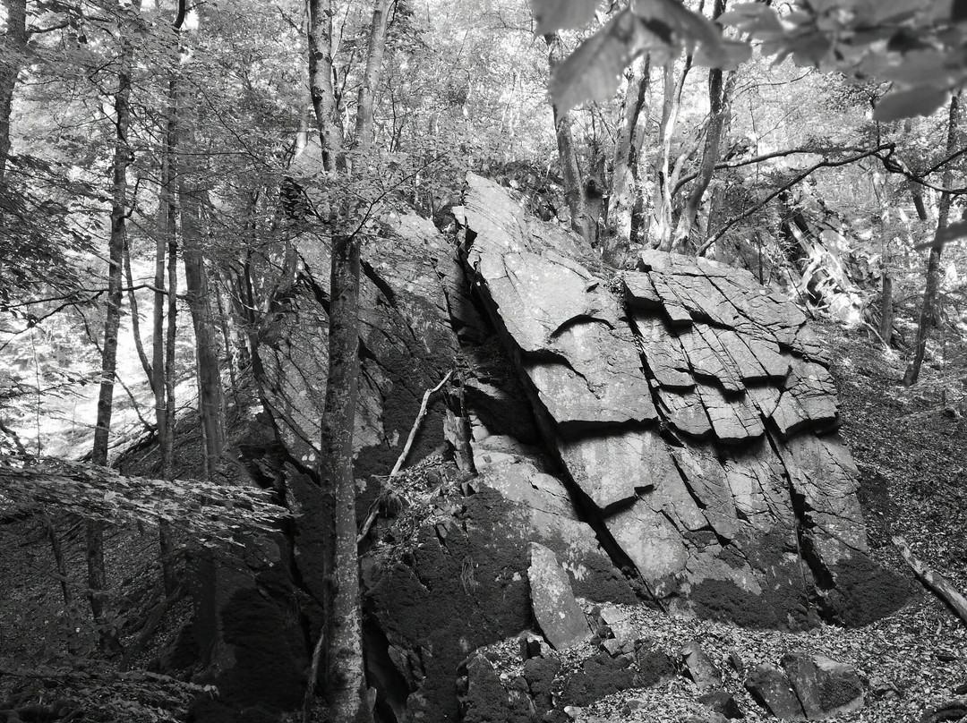 Forsakar Nature Reserve-Degeberga必去景点