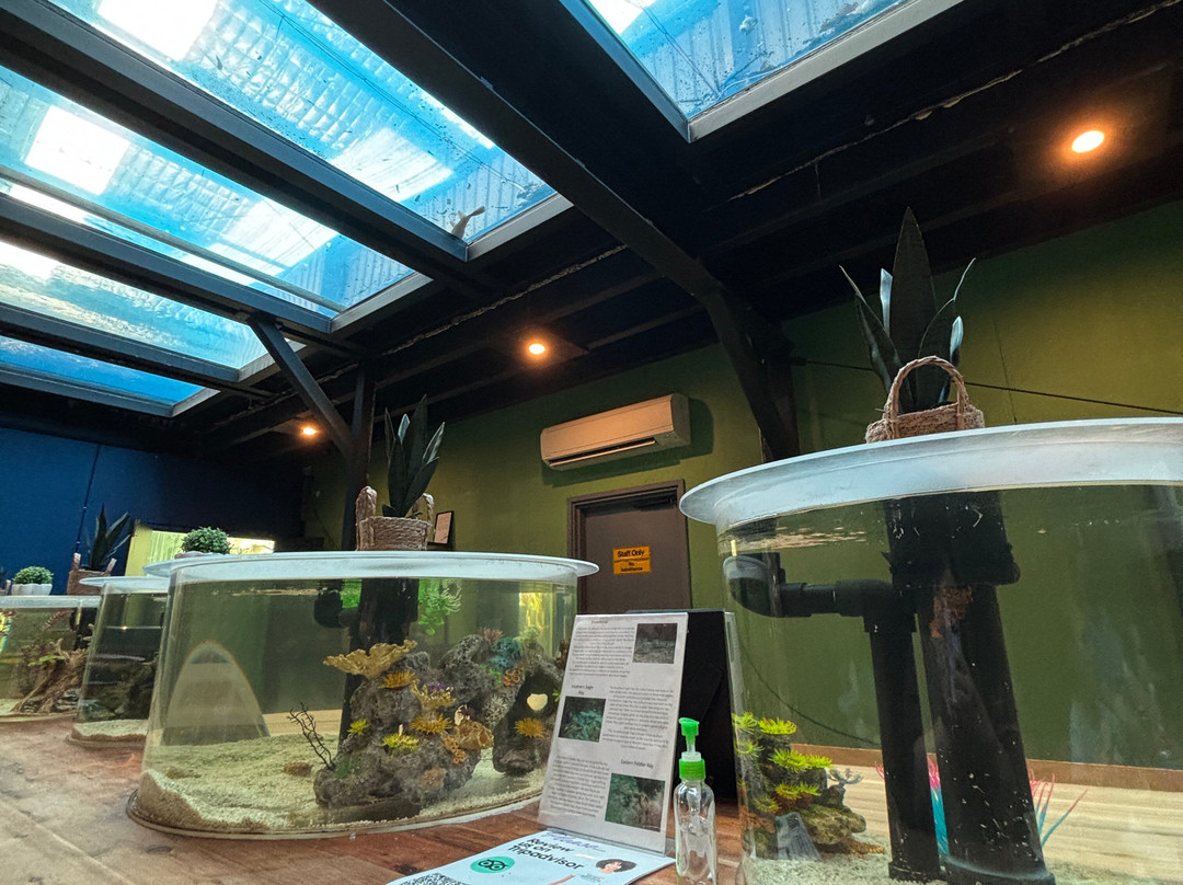 Port Stephens Animal Adventures-Bobs Farm必去景点