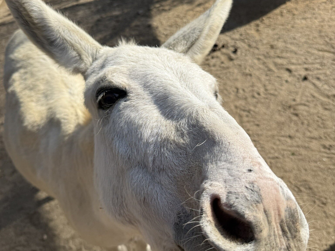 La Mène-格里莫必去景点