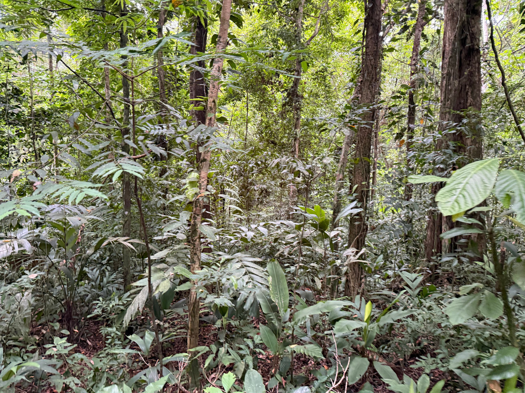 Abel Bustamante - Tour Guide-Manzanillo必去景点