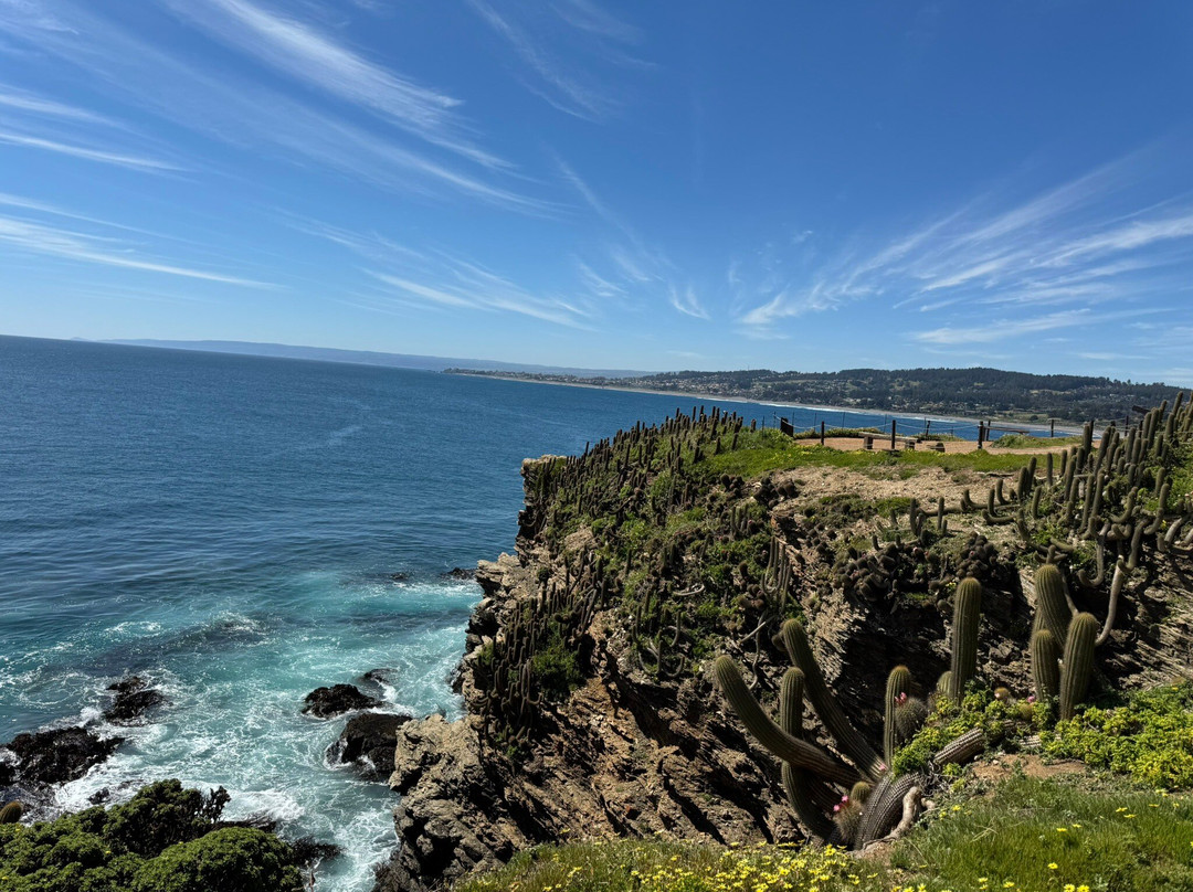 Punta De Lobos-皮钦勒姆必去景点