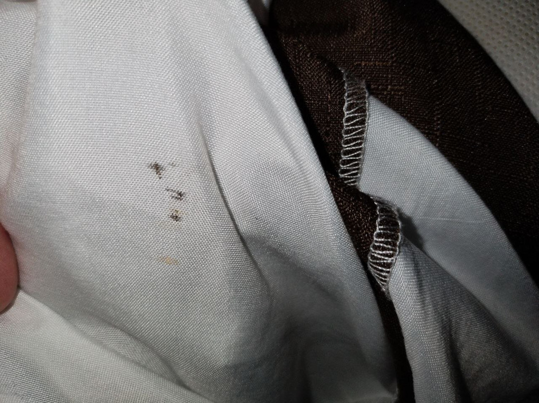 Extended Stay America - Portland - Beaverton主图