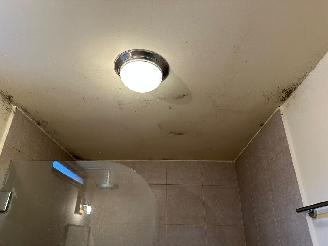 Inti Sisa Art Guesthouse主图