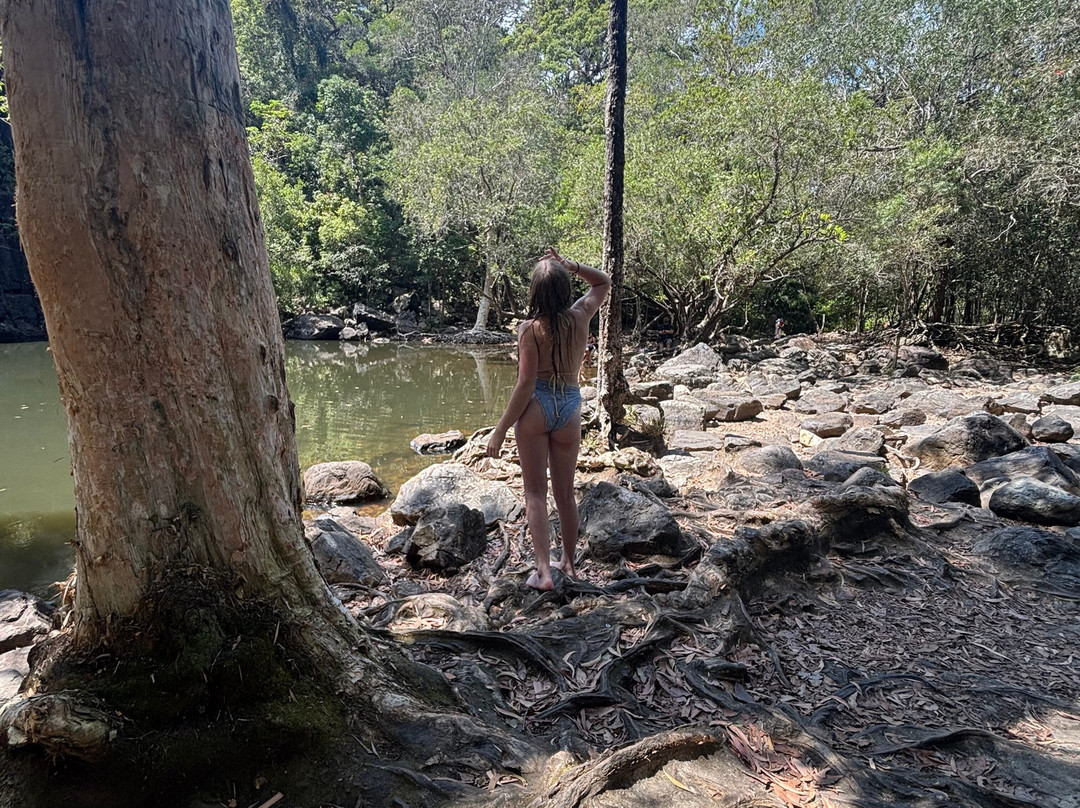 Cedar Creek Falls-Proserpine必去景点