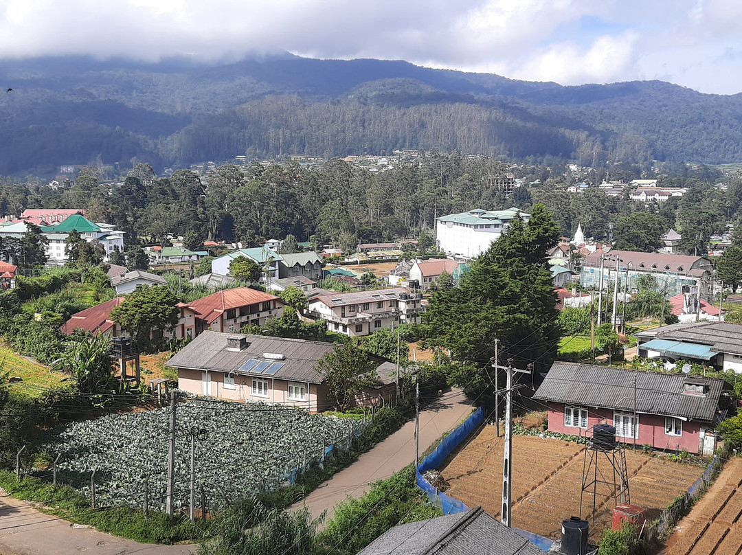 Lanka Travel Bee-尼甘布必去景点