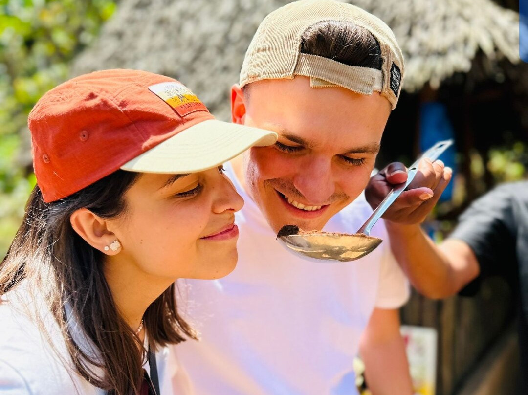 Materuni Village Experience-莫西必去景点