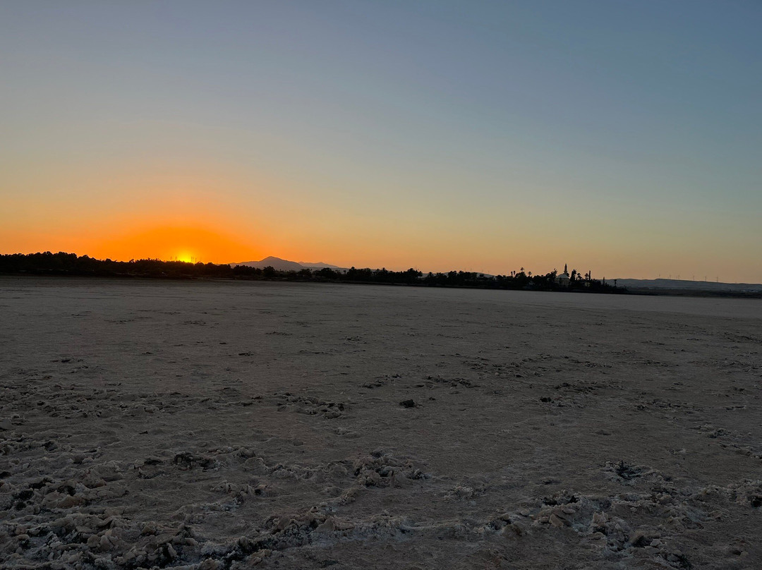 Larnaka Salt Lake-拉纳加必去景点