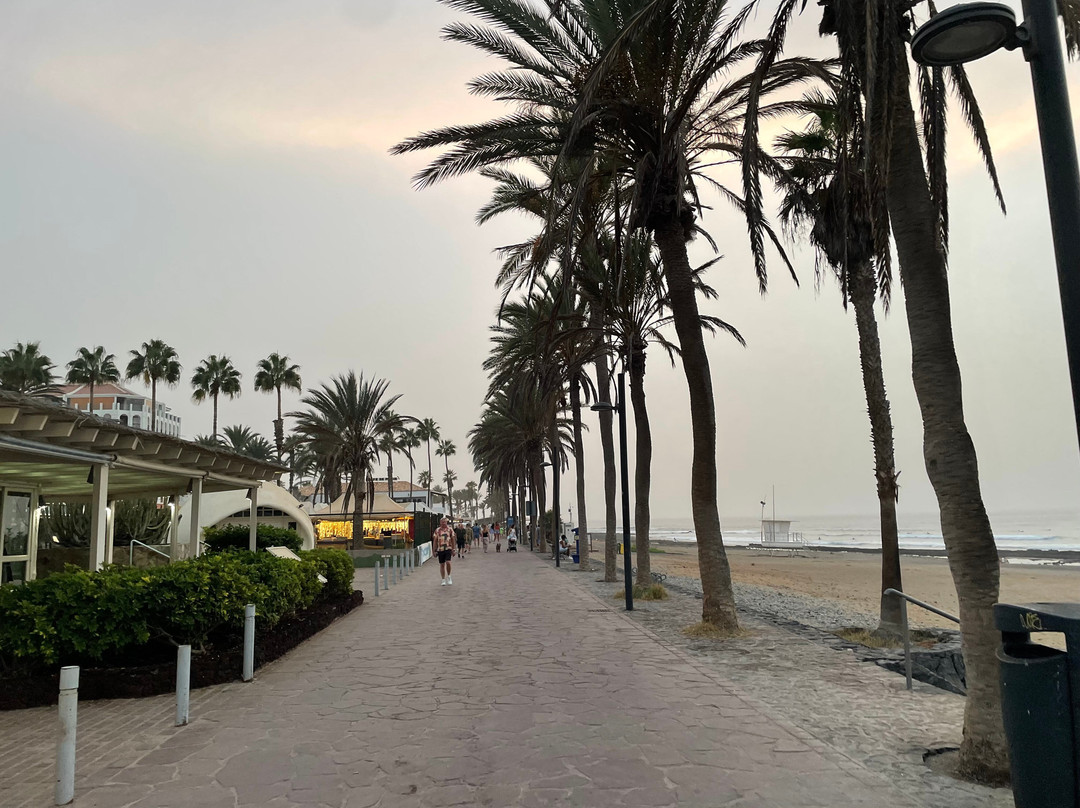 Playa De Las Americas-美洲海滩必去景点