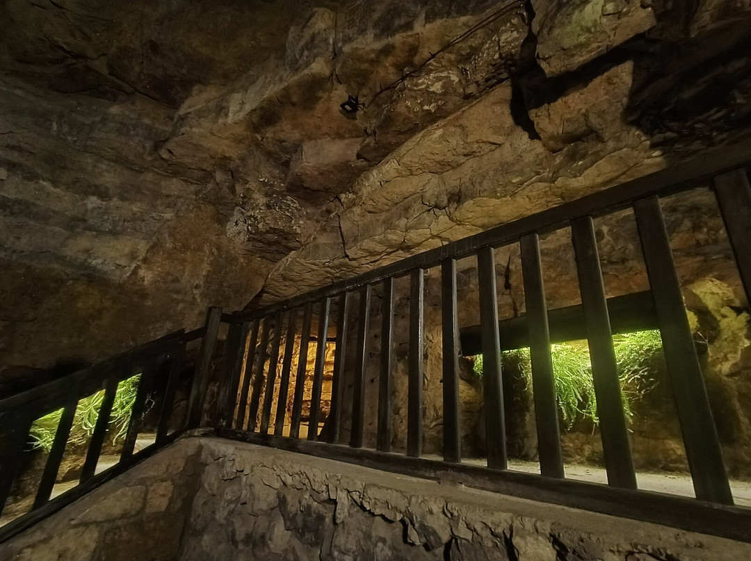 Société des Caves Roquefort - Visite des Caves-Roquefort Sur Soulzon必去景点