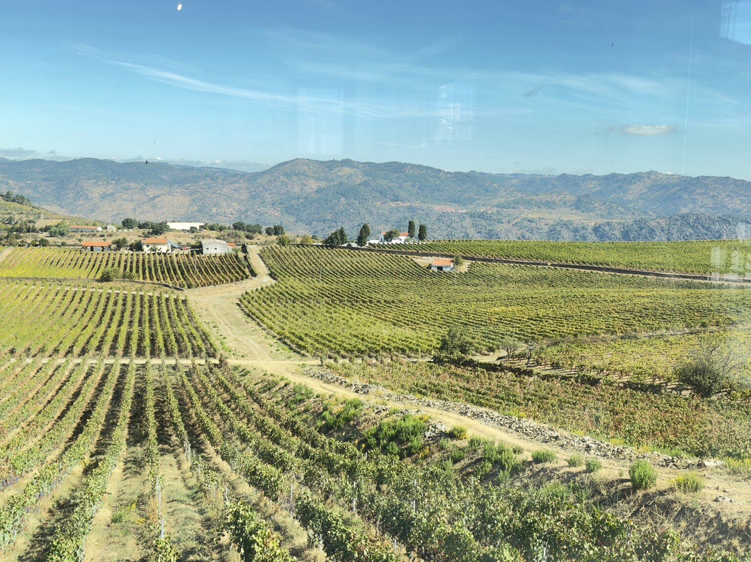 Quevedo-Sao Joao da Pesqueira必去景点