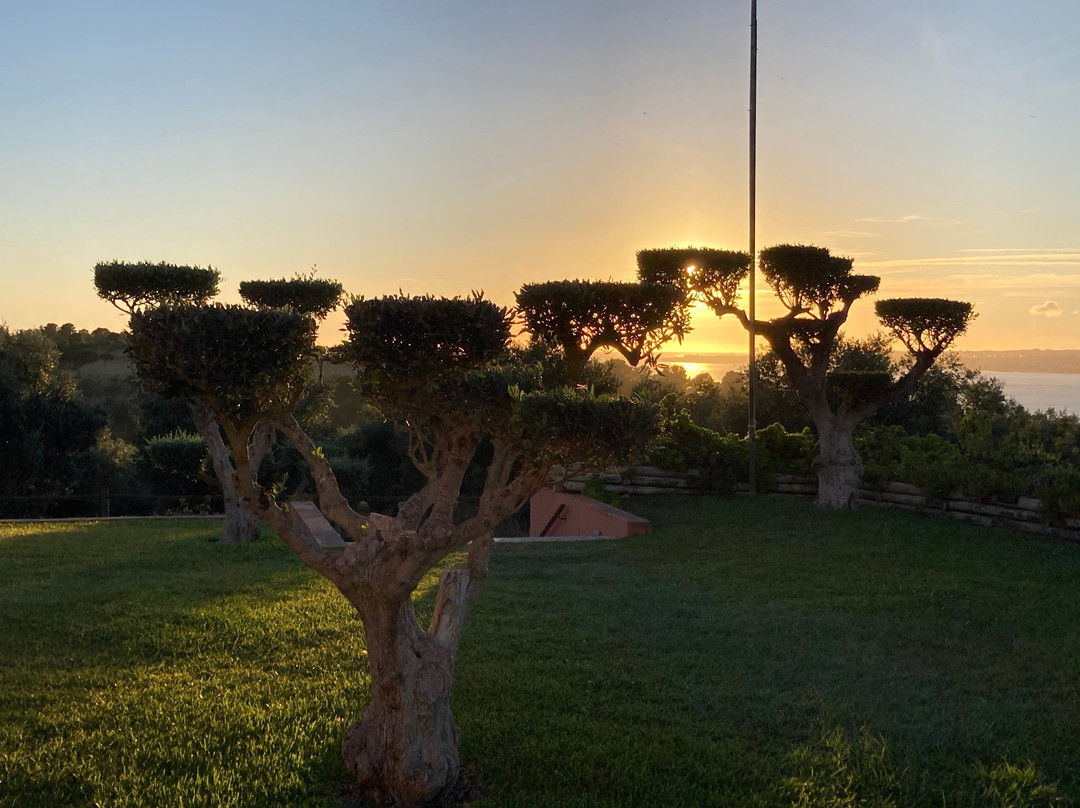 Quinta do Tagus Village主图