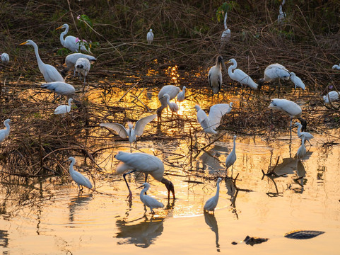 Gustavo Fonseca Tour-波科内必去景点