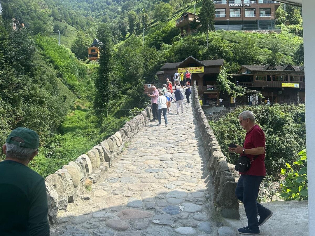 Timisvat osmanlı taşkemer köprüsü-Camlihemsin必去景点