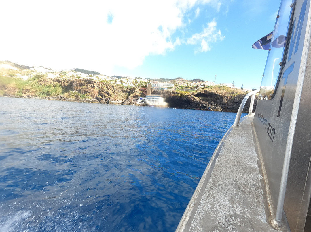 Manta Diving Madeira-Canico必去景点