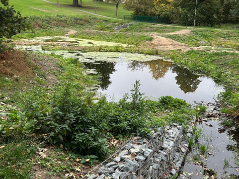 Friary Park-伦敦必去景点