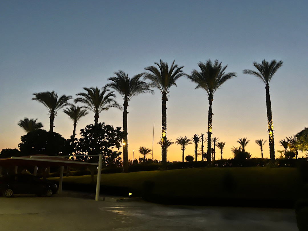 Ghazala Regency Resort & Spa主图