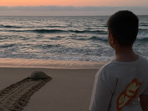 Oman4Kids-马斯喀特必去景点