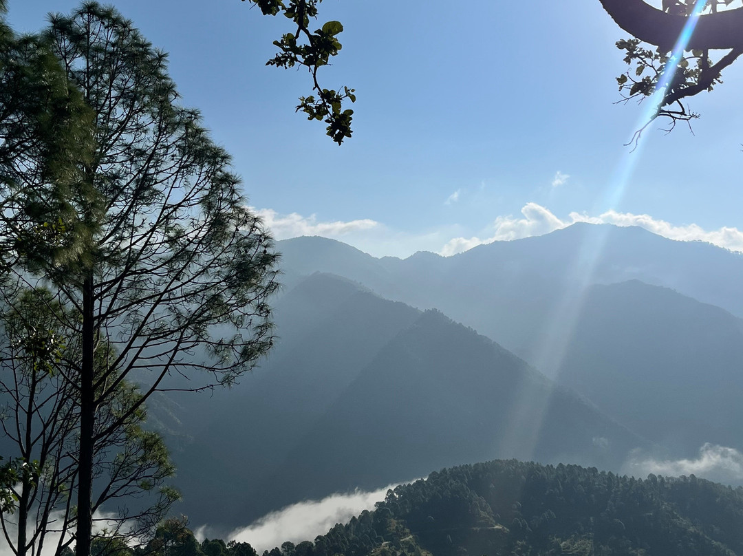 The Woods Retreat主图