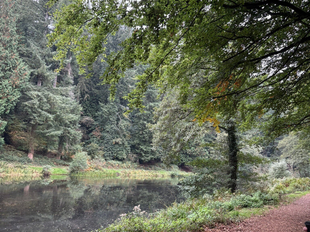 Soudley Ponds-Soudley必去景点