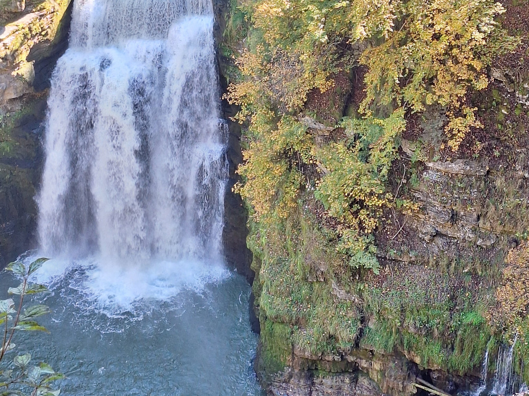 Bateaux du Saut du Doubs-Villers-le-Lac必去景点