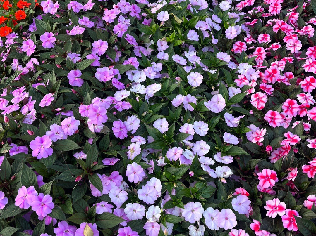 Santuário de Schoenstatt - Atibaia-阿蒂巴亚必去景点