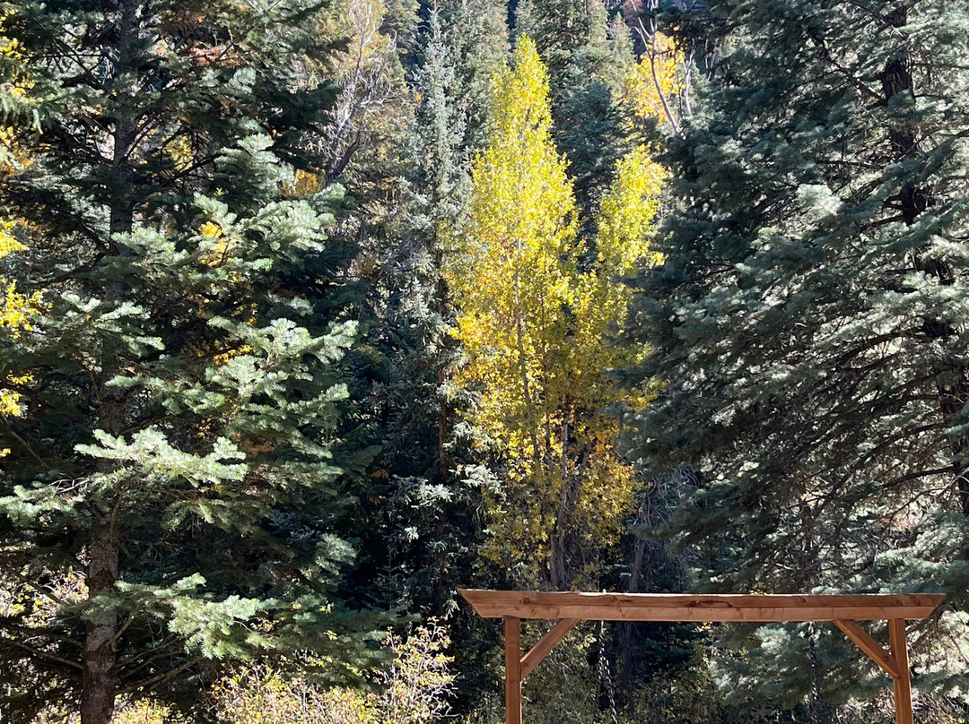 O-Bar-O Cabins主图