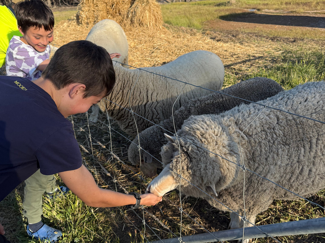 Mary's Farm Cottages主图