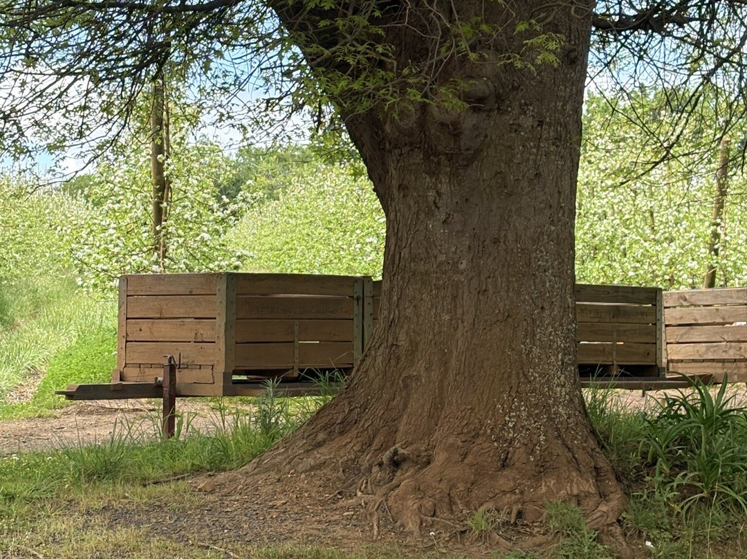 Oak Valley Estate-Elgin必去景点