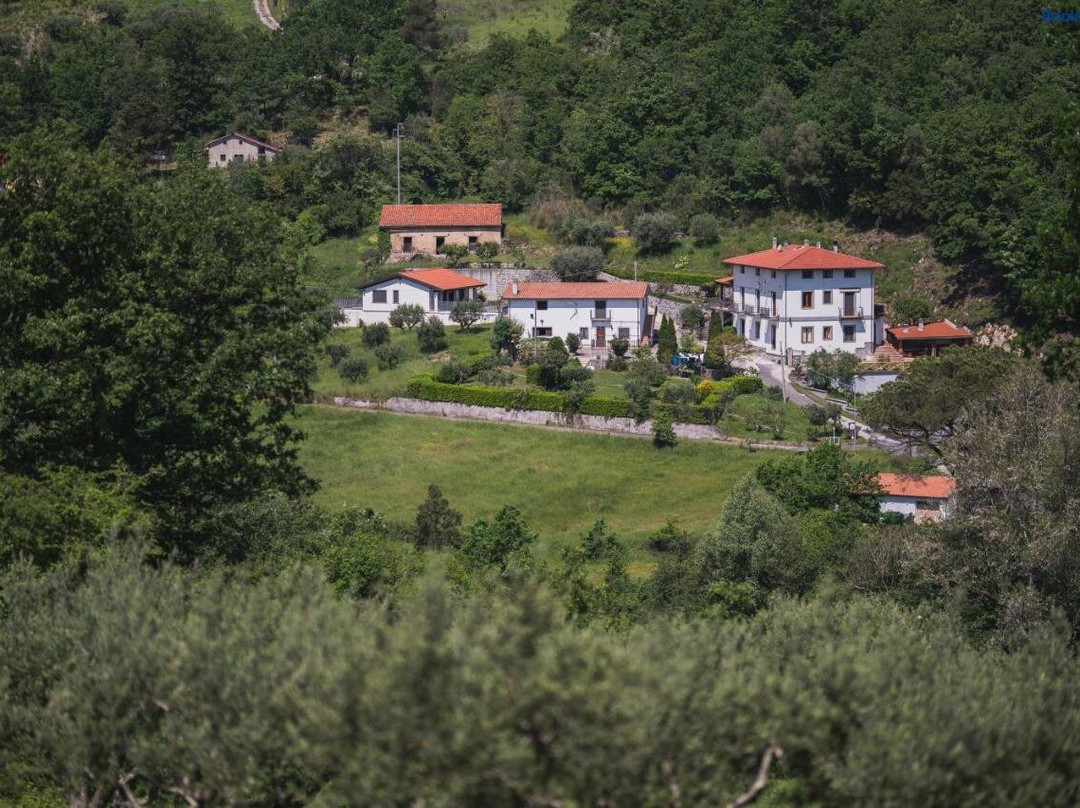 Agriturismo La Valle Degli Ulivi