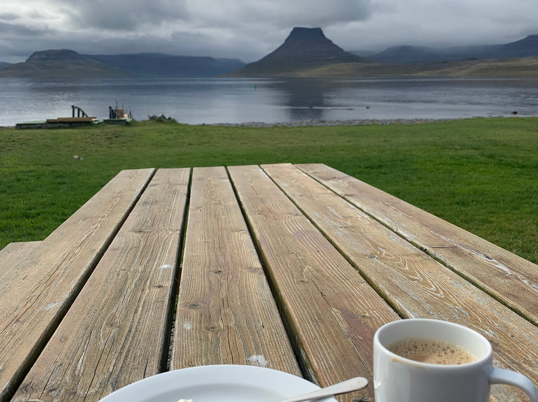 Vigur Island-伊萨菲厄泽必去景点