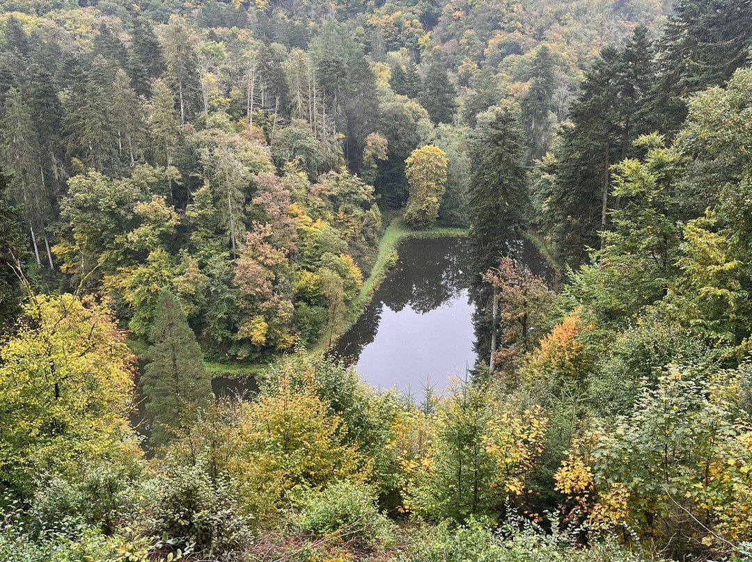 NaturPurHotel Maarblick主图