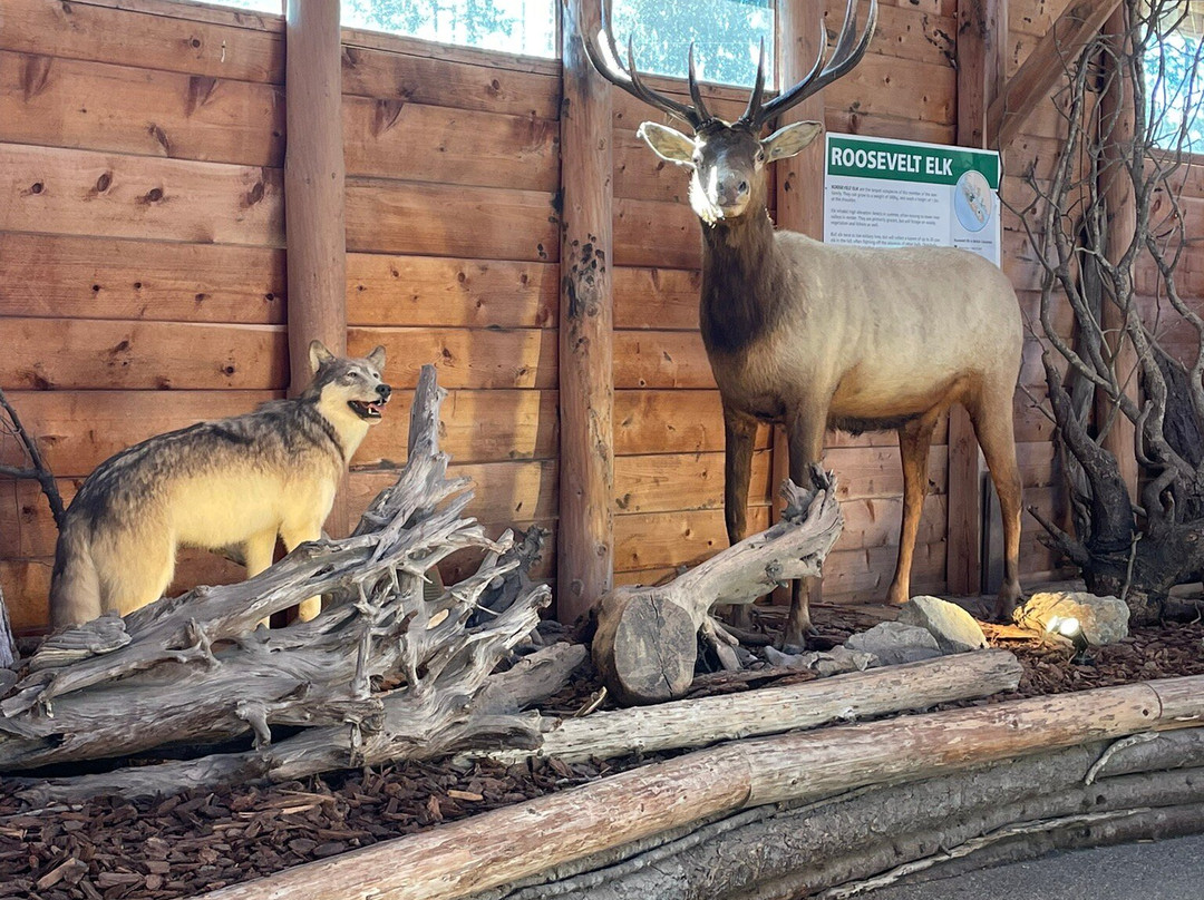 North Island Wildlife Recovery Centre-Errington必去景点
