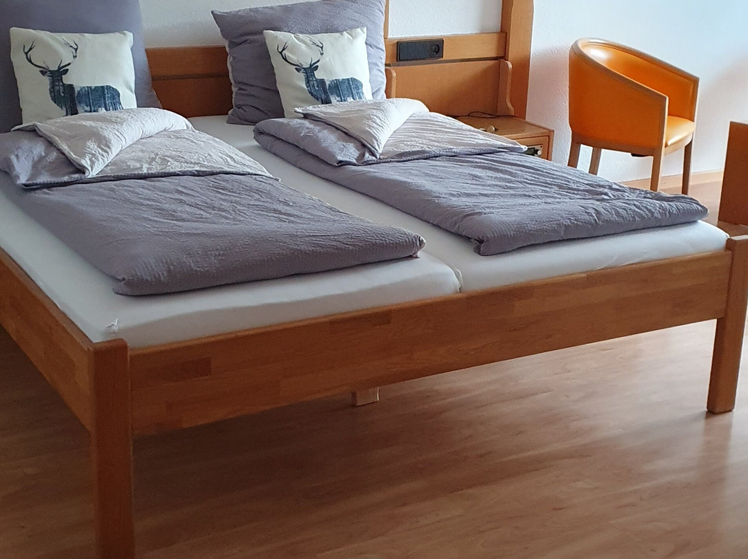 Alpenhotel Bergzauber主图