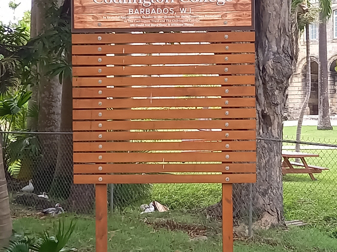 Codrington College-Saint John Parish必去景点