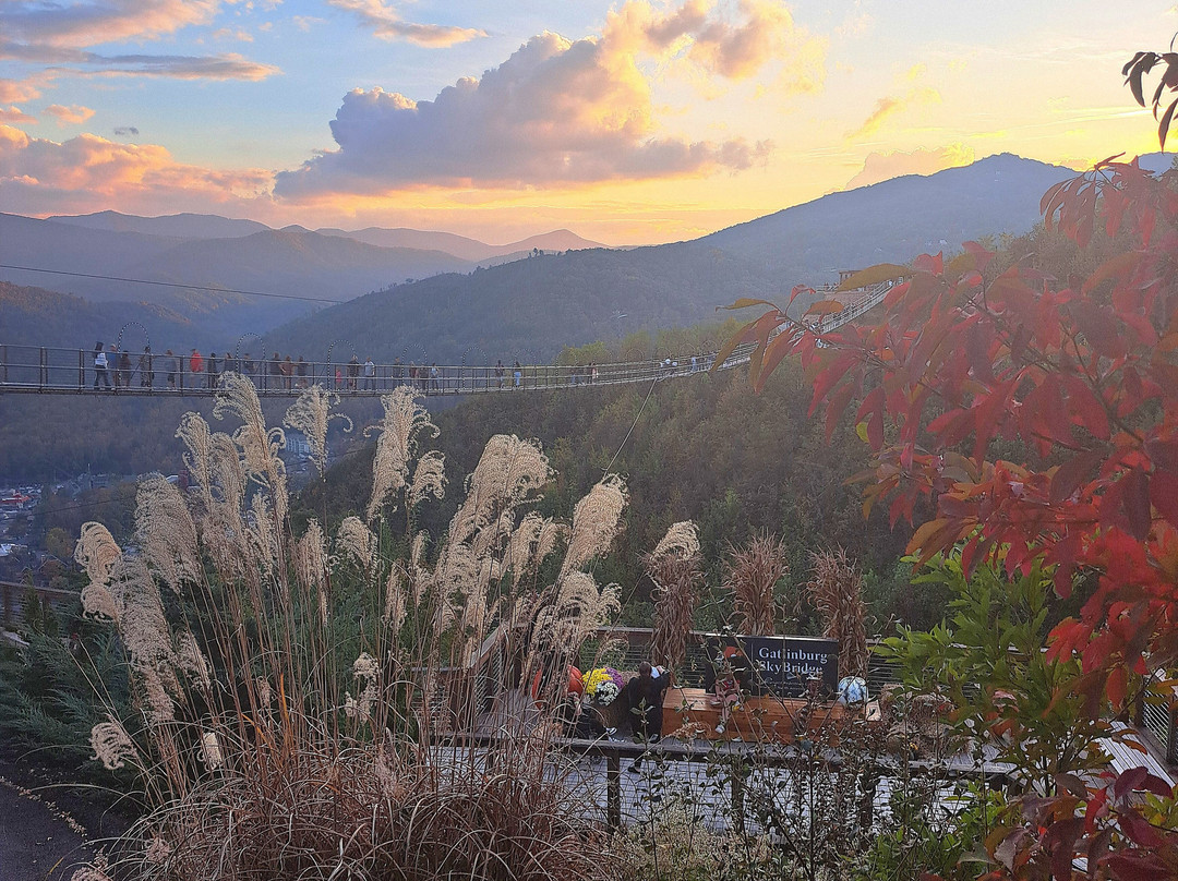SkyBridge-盖林柏格必去景点