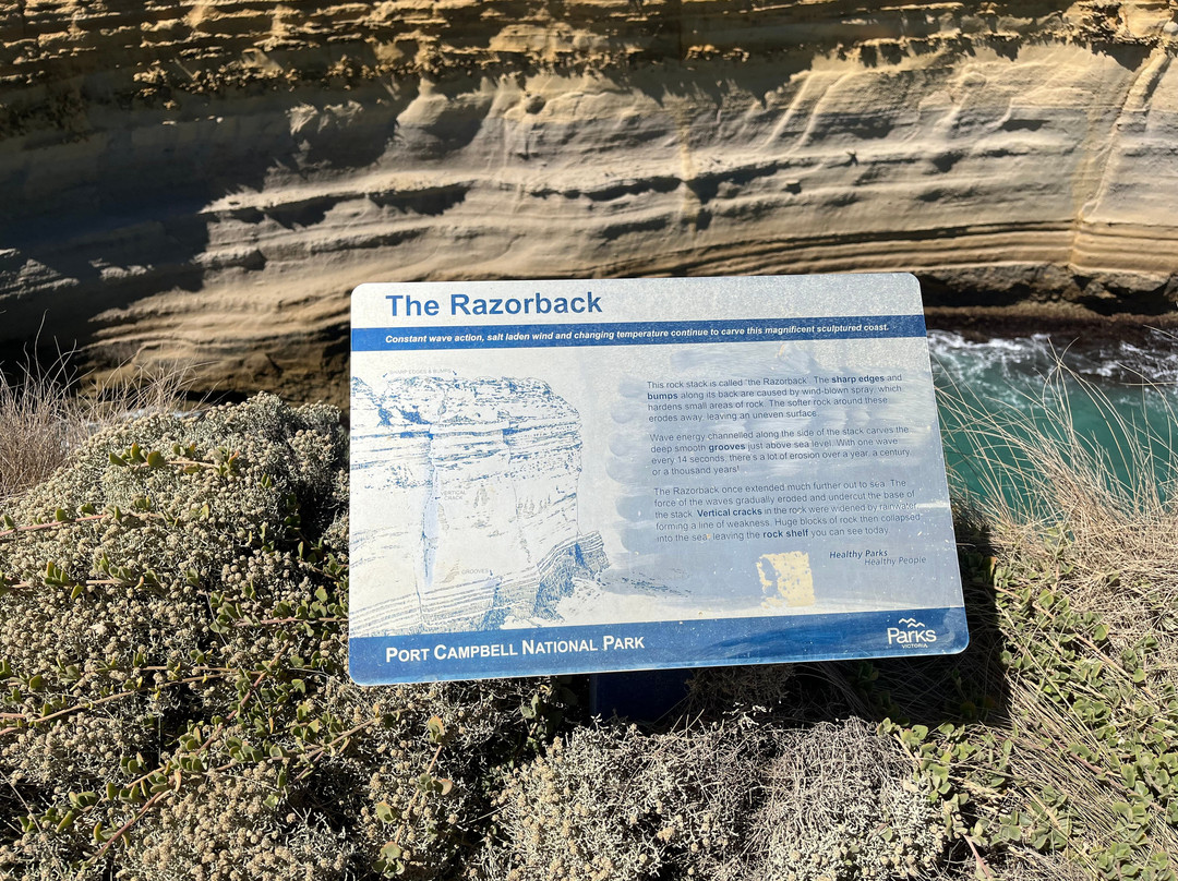 The Razorback-坎贝尔港必去景点