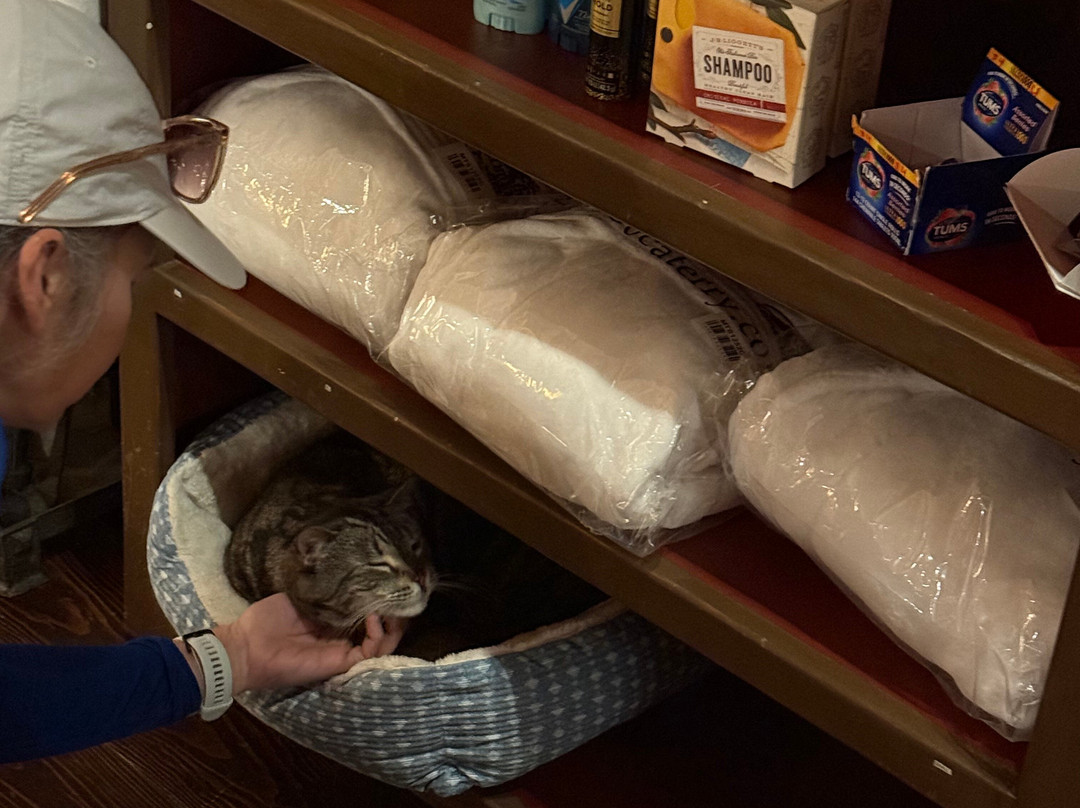 The Common Man Inn主图