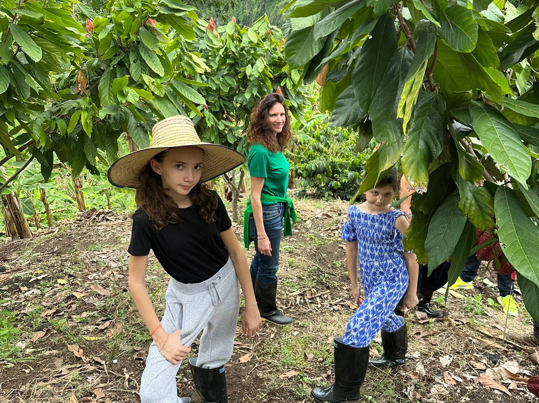 Finca Las Palmitas - Quindio-亚美尼亚必去景点